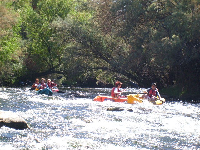 Salt River Kayaking