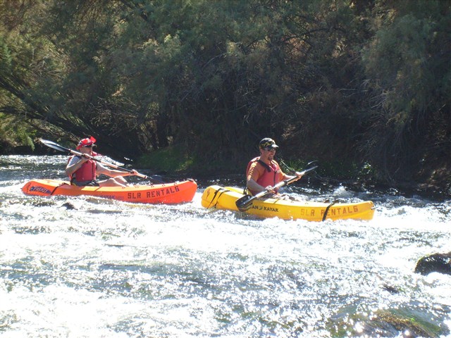 Salt River Kayaking