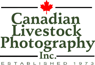Canadian Livestock Photography Inc