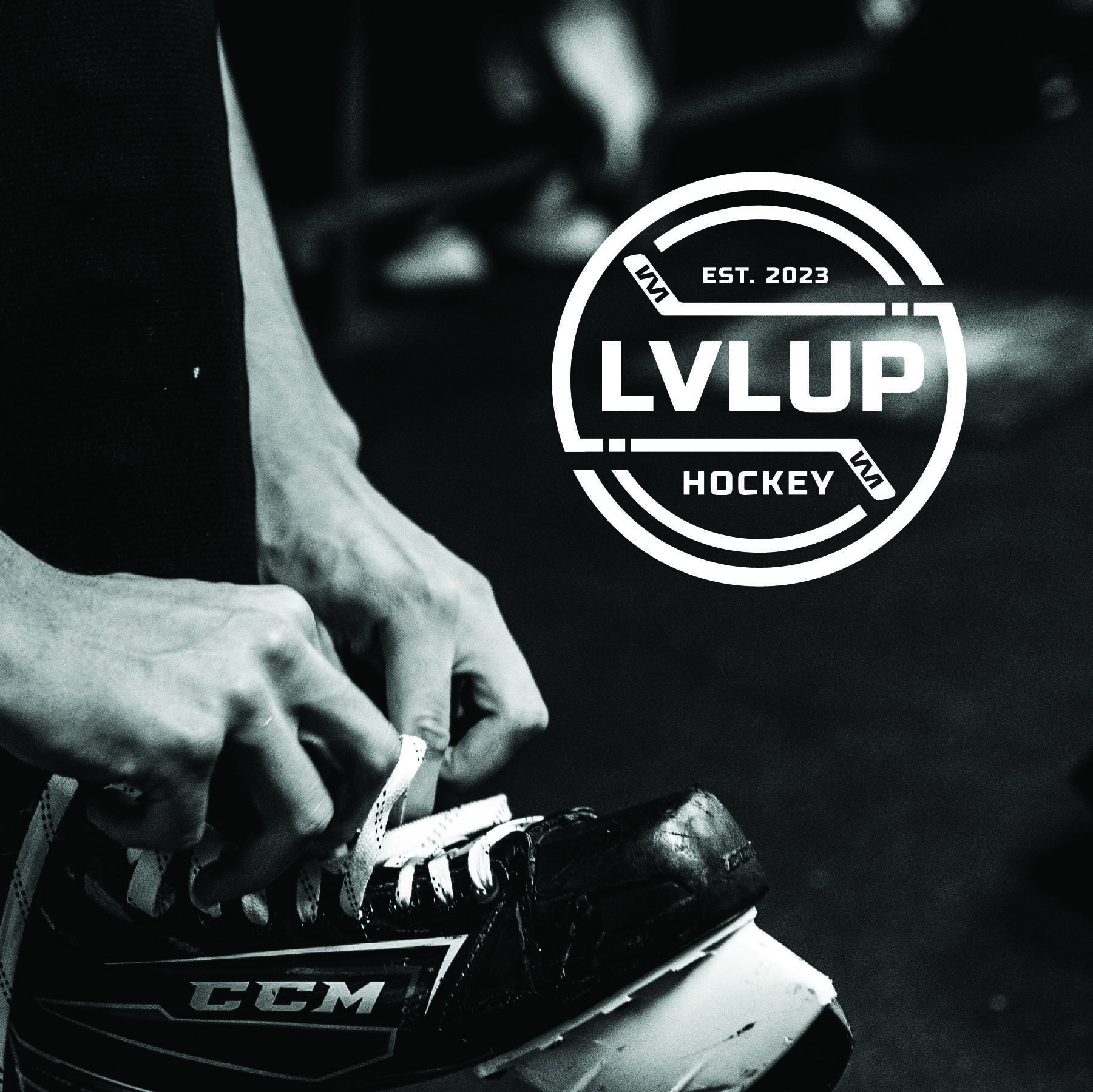 LVLUP Hockey Development
